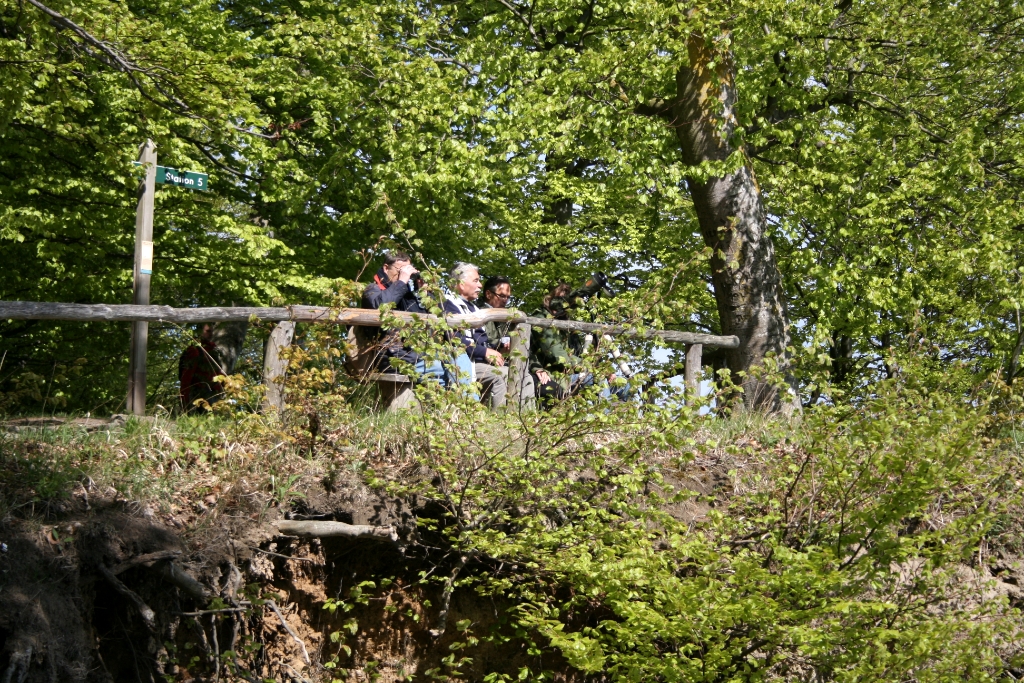 VWG vogelreis Oost Duitsland mei 2010 143
